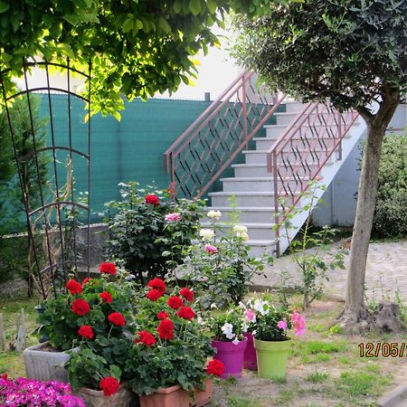 Bed and Breakfast 5 Palme Terzo d' Aquileia Екстер'єр фото