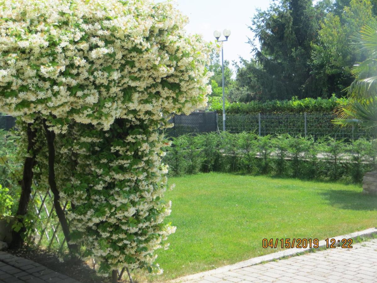 Bed and Breakfast 5 Palme Terzo d' Aquileia Екстер'єр фото