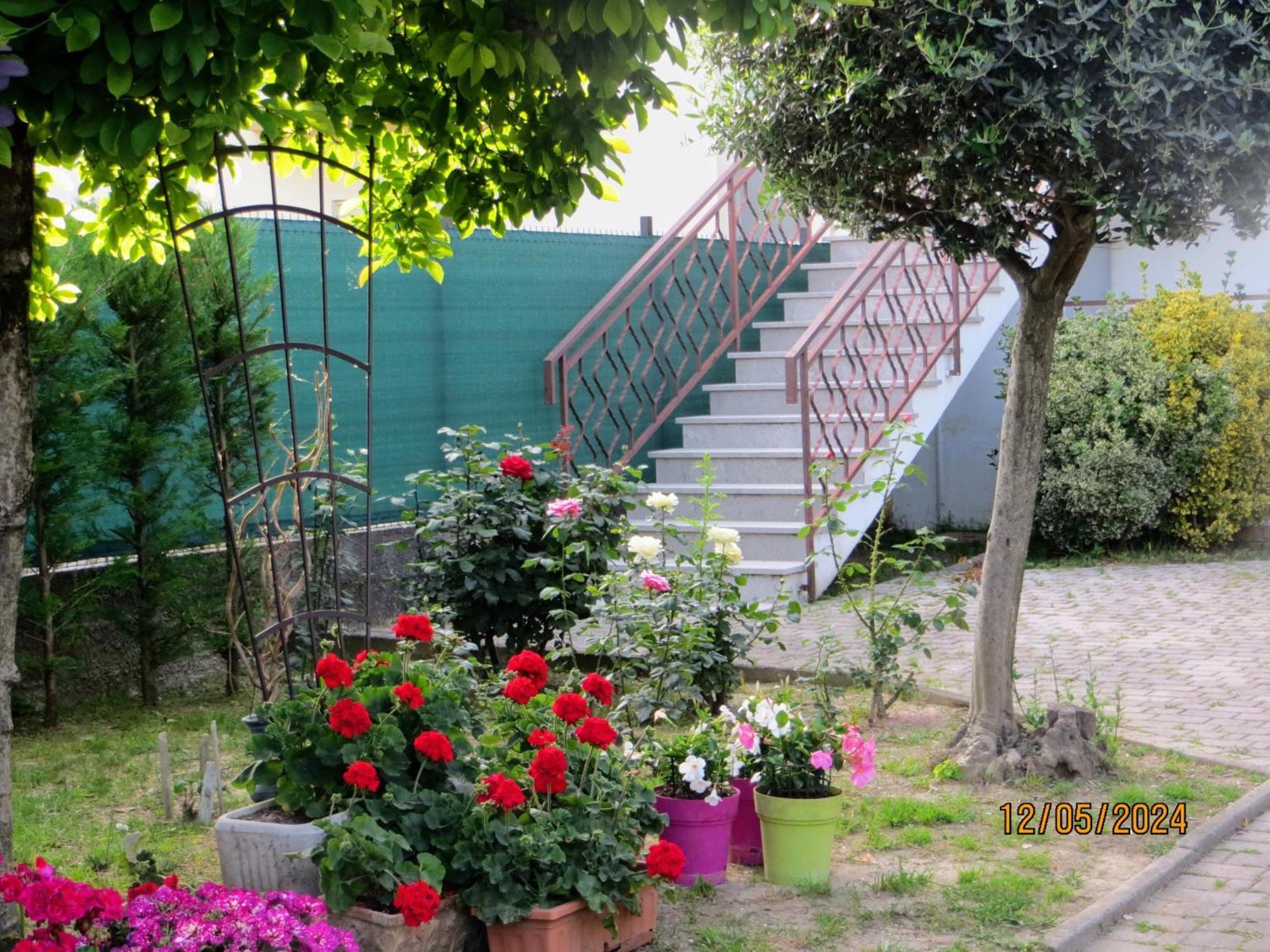 Bed and Breakfast 5 Palme Terzo d' Aquileia Екстер'єр фото
