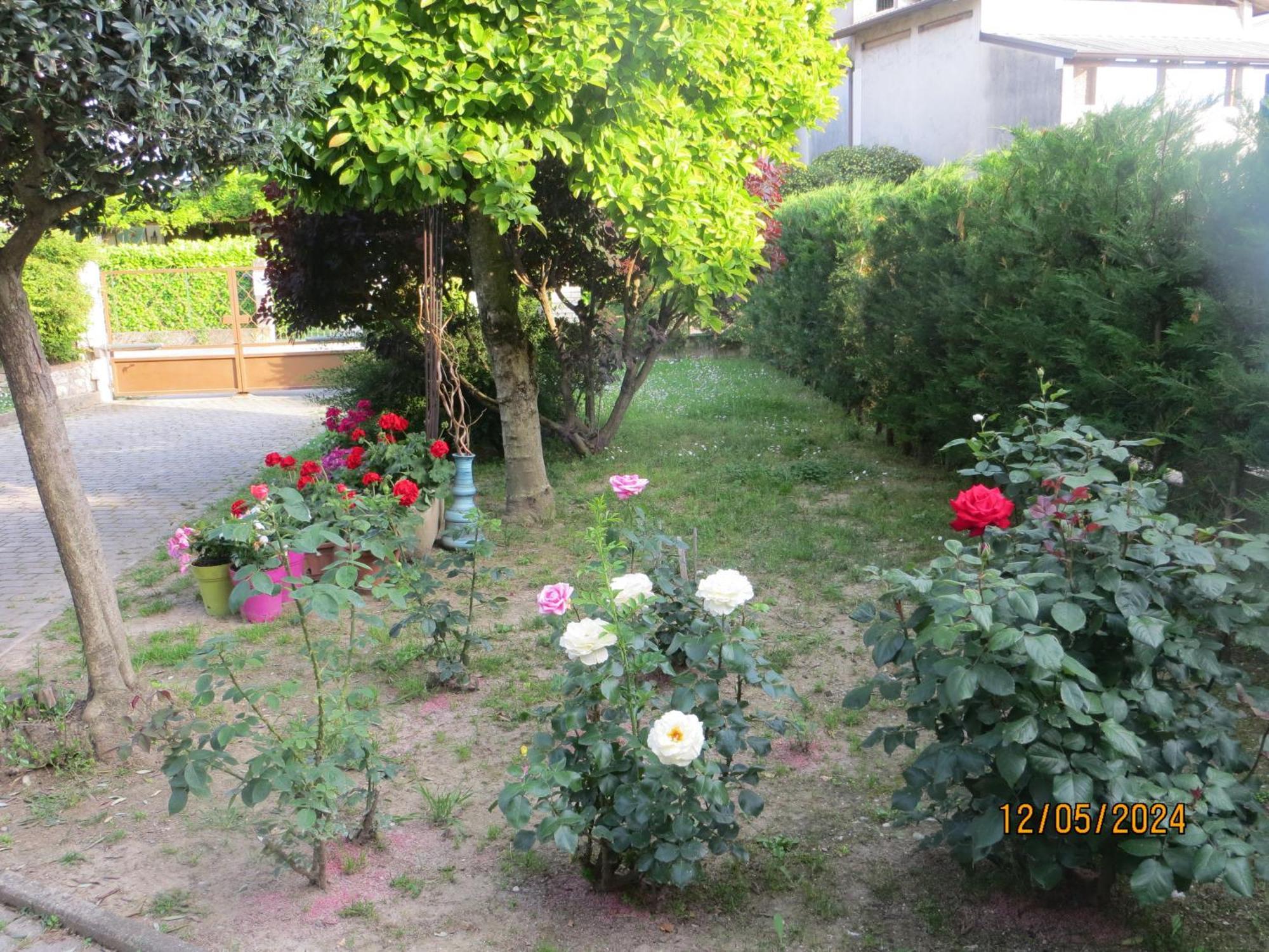 Bed and Breakfast 5 Palme Terzo d' Aquileia Екстер'єр фото